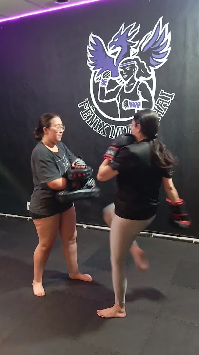 Studio Fênix Muay Thai