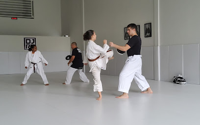 Dojo Ribeirão Preto