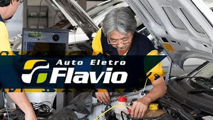 Auto Eletro Flávio