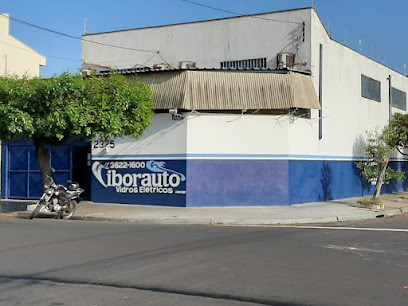Viborauto Vidros Elétricos