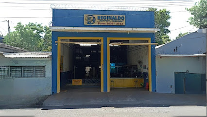 Reginaldo Auto Peças