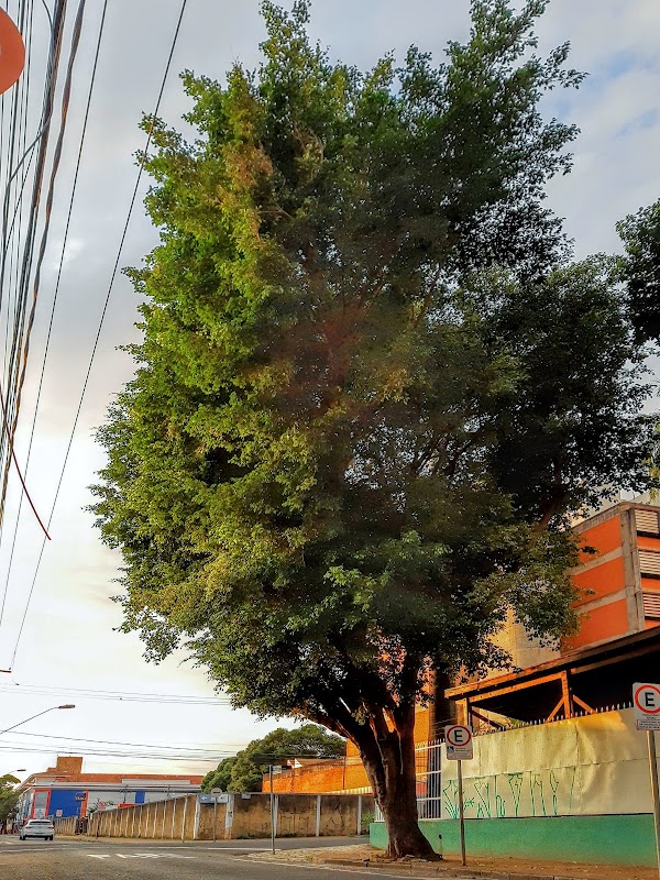 Sassom - Clínica Médica em Centro, Ribeirão Preto/SP - Foto 3