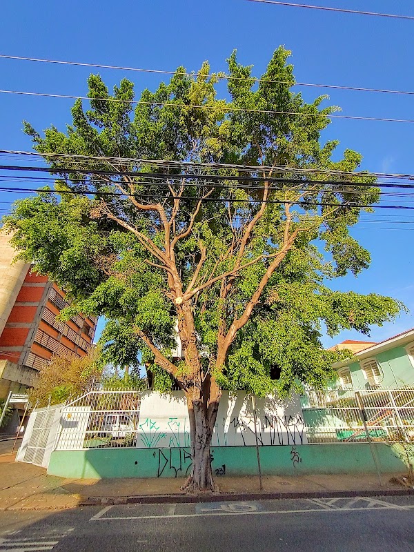 Sassom - Clínica Médica em Centro, Ribeirão Preto/SP - Foto 4