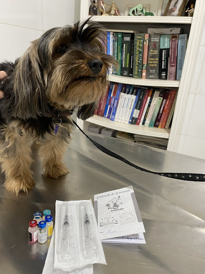 Clínica Veterinária Vila dos Animais