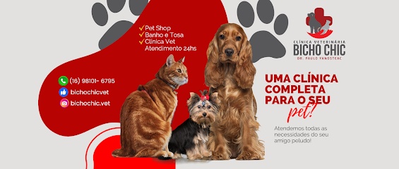 Bicho Chic - Clínica Veterinária 24h