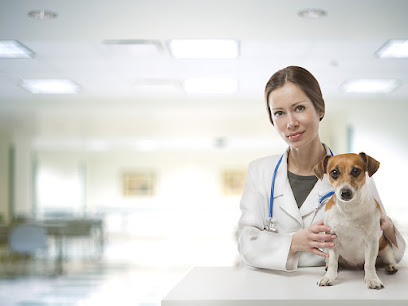 Vip Clínica Pet - Veterinário
